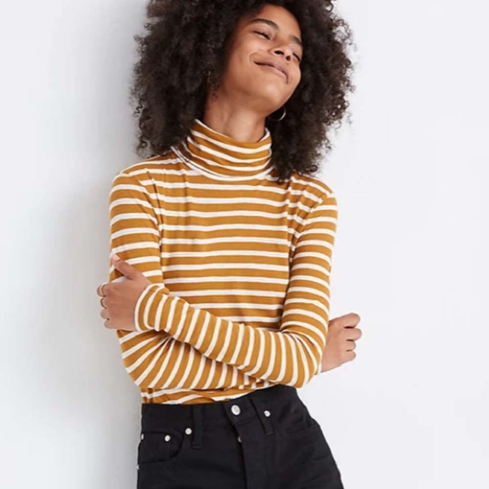 Madewell Whisper Cotton Turtleneck / Helene Stripe